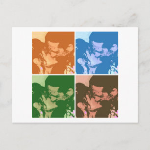 Postal Sr. y la Sra.