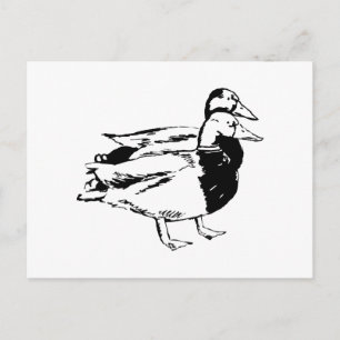 Postal Sr. y Sra. Duck