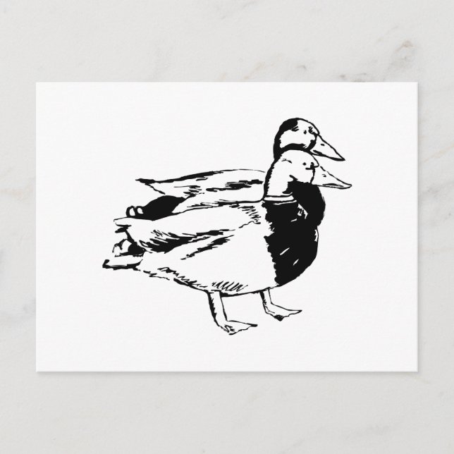Postal Sr. y Sra. Duck (Anverso)