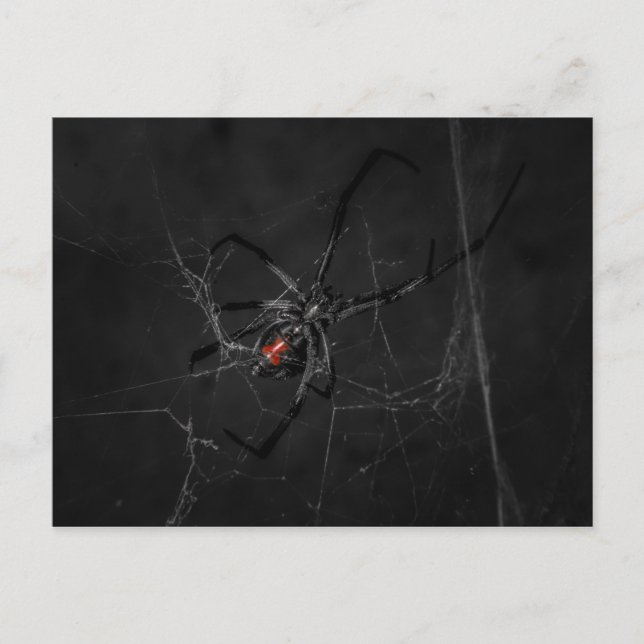 Postal Sra. Black (Anverso)