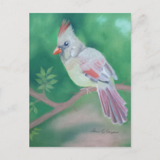Postal Sra. Cardinal