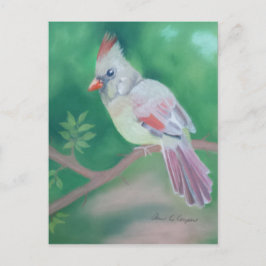 Postal Sra. Cardinal