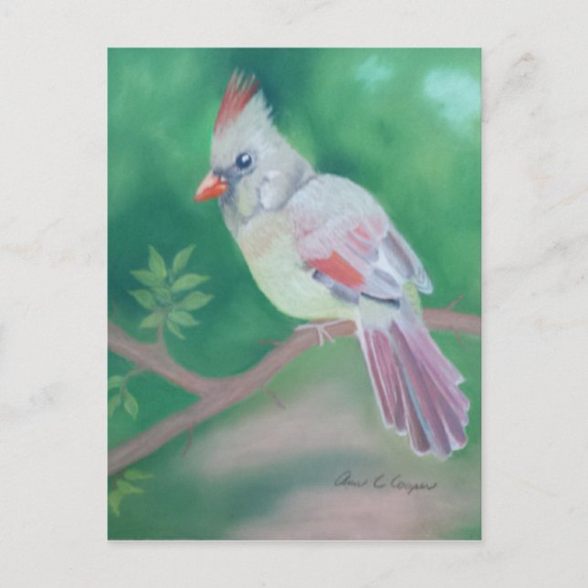 Postal Sra. Cardinal (Anverso)