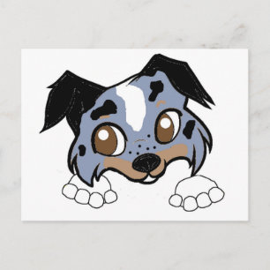 Postal ss azul merle blanco y tan personalizado peeking