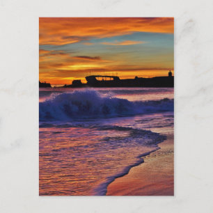 Postal SS Palo Alto.