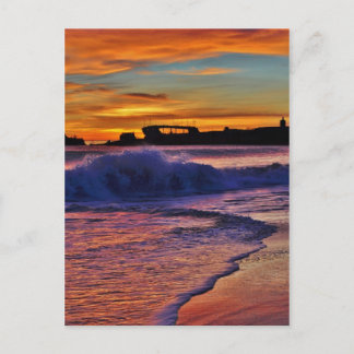 Postal SS Palo Alto.