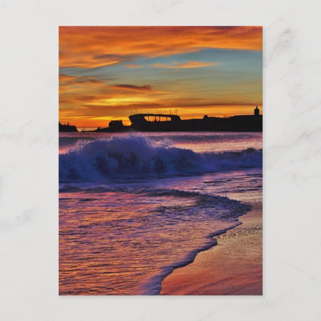 Postal SS Palo Alto. (Anverso)