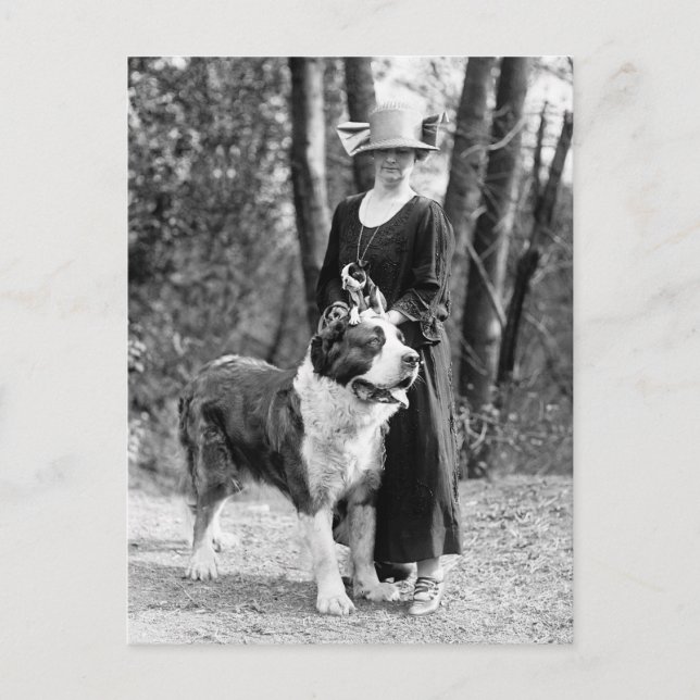 Postal St Bernard & Boston Terrier, 1925 (Anverso)