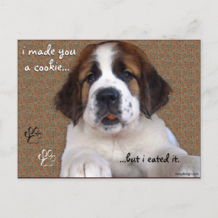 Postal St Bernard Puppy Cookie