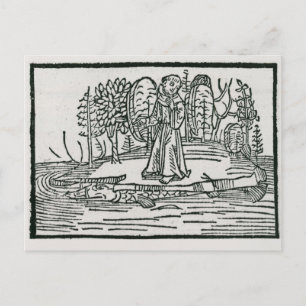 Postal St. Brendan en la isla de los peces