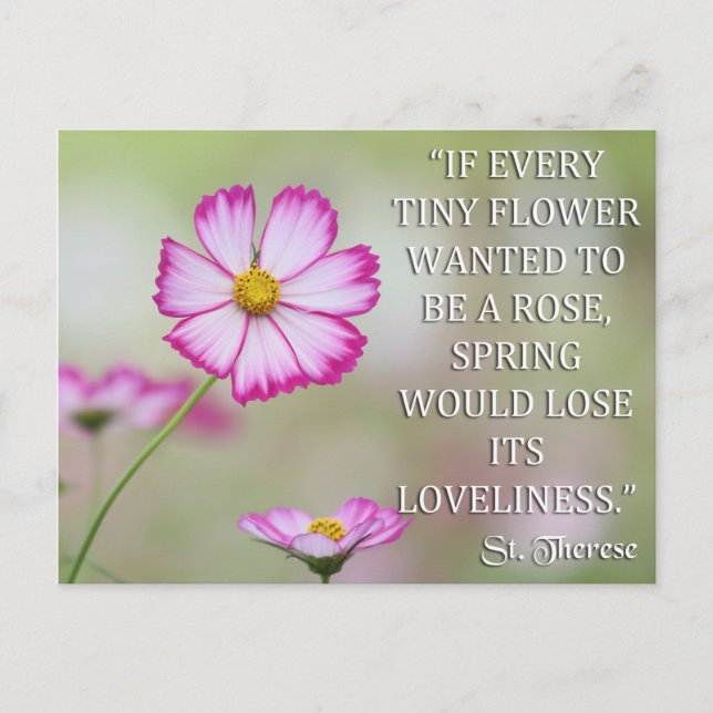 POSTAL ST EL LISIEUX SI SE DESEA CADA PEQUEÑA FLORES (Anverso)