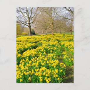 Postal St James's Park London Postcard