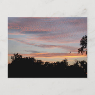 Postal St. Louis Sunset