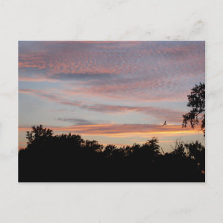 Postal St. Louis Sunset