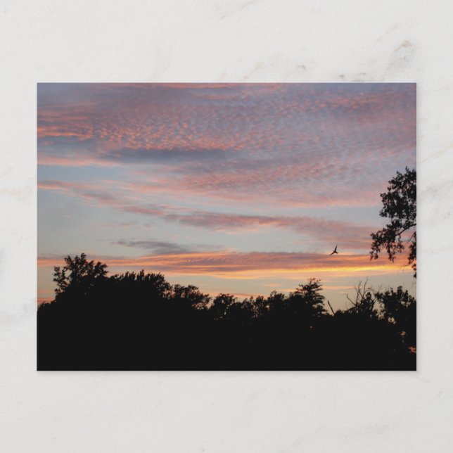 Postal St. Louis Sunset (Anverso)