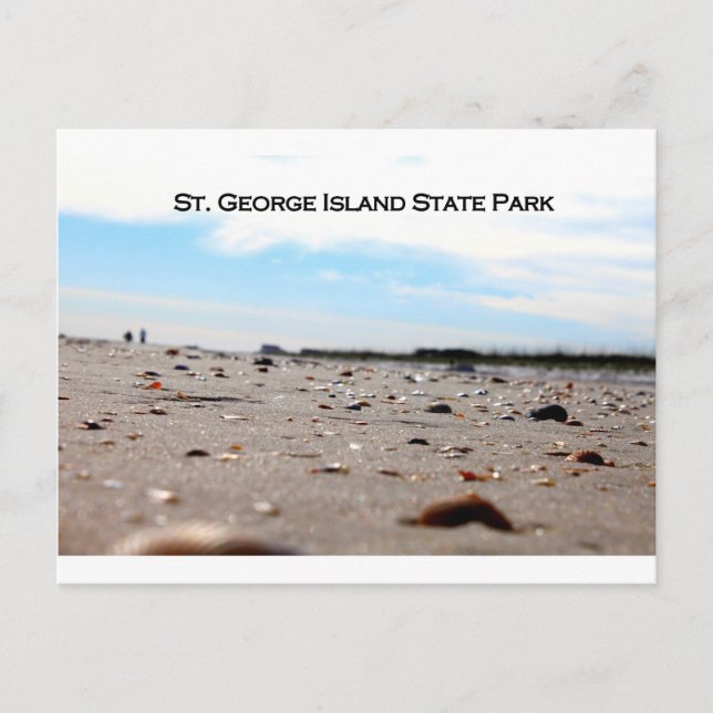 POSTAL ST. PARQUE ESTATAL DE LA ISLA GEORGE - FLORIDA (Anverso)