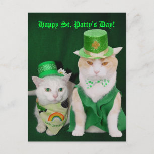 Postal St. Patrick Kitties