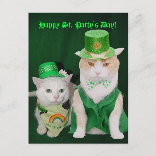 Postal St. Patrick Kitties (Anverso)