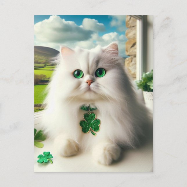 Postal St Patricks Day Cat Fluffy White Cat Green Eyes (Anverso)