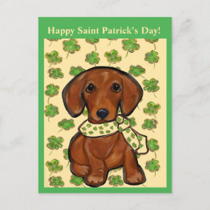 Postal St.Patty Doxie