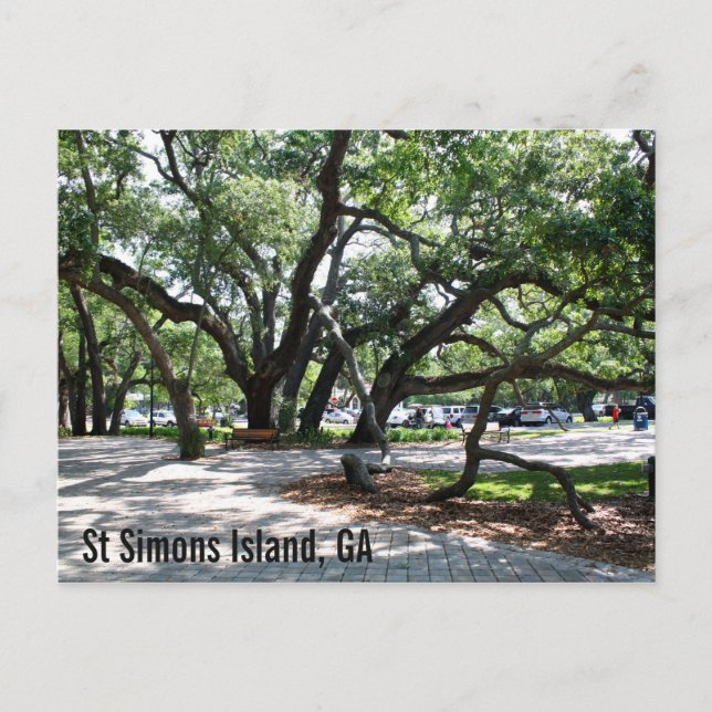 Postal St Simons GA Wandering Oak (Anverso)