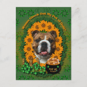 Postal Sta Patrones - Oro de Oro - Bulldog