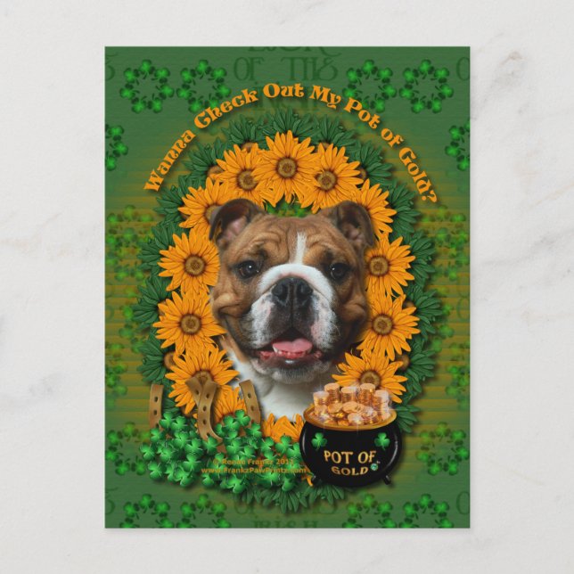 Postal Sta Patrones - Oro de Oro - Bulldog (Anverso)