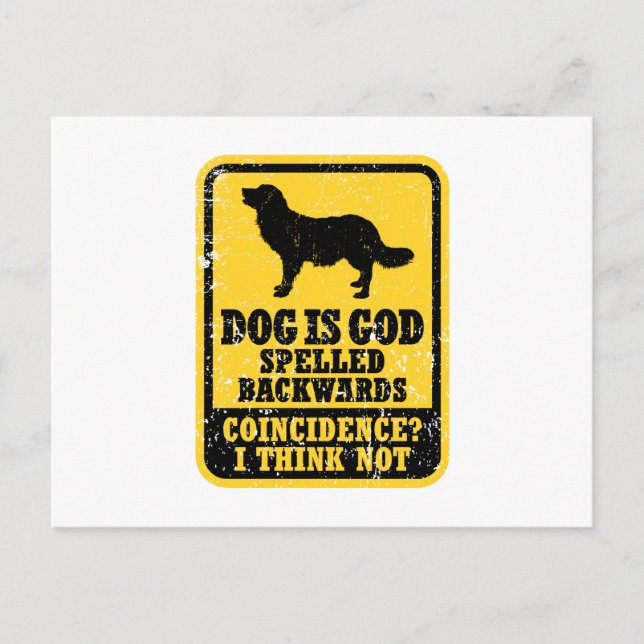 Postal Stabyhoun (Anverso)