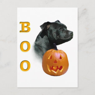 Postal Staffordshire Bull Terrier Boo