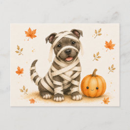 Postal Staffordshire Bull Terrier Momia Halloween