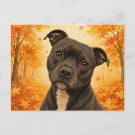 Postal Staffordshire Bull Terrier Otoño Perro