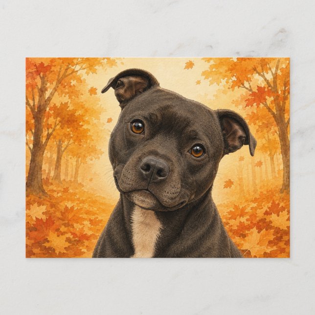 Postal Staffordshire Bull Terrier Otoño Perro (Anverso)