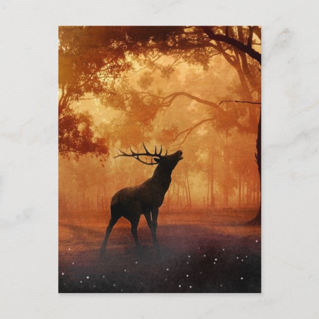 Postal Stag at Sunset (Anverso)