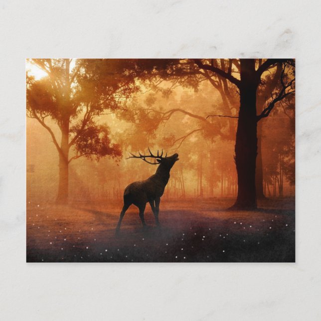 Postal Stag at Sunset (Anverso)