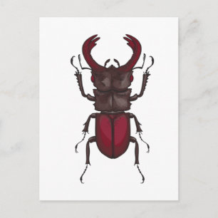 Postal Stag beetle