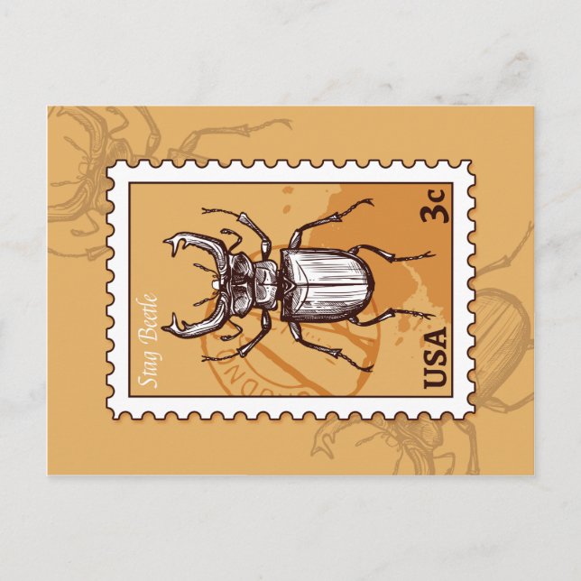 Postal Stag Beetle (Anverso)