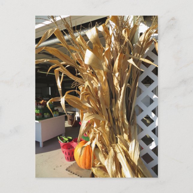 Postal Stalks secos (Anverso)