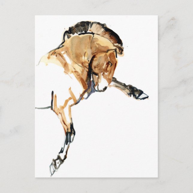 Postal Stallion (Anverso)