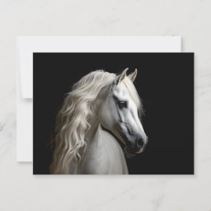 Postal Stallion blanco andaluz