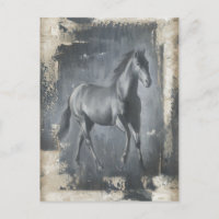 Stallion de carreras negras