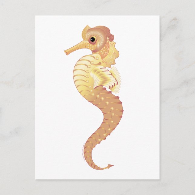 Postal Stallion del Mar Rojo (Anverso)