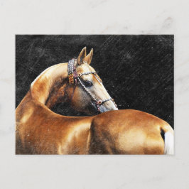 Postal Stallion Palomino Akhal-teke