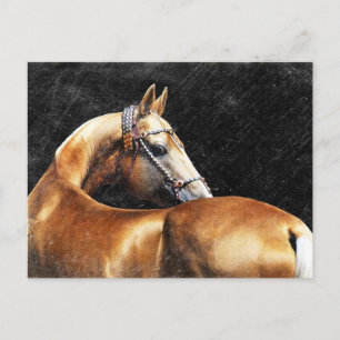Postal Stallion Palomino Akhal-teke