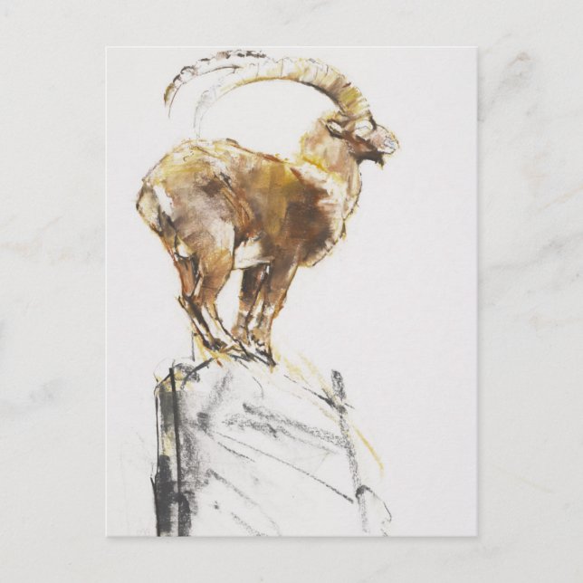 Postal Stambecco d'Oro 2005 (Anverso)