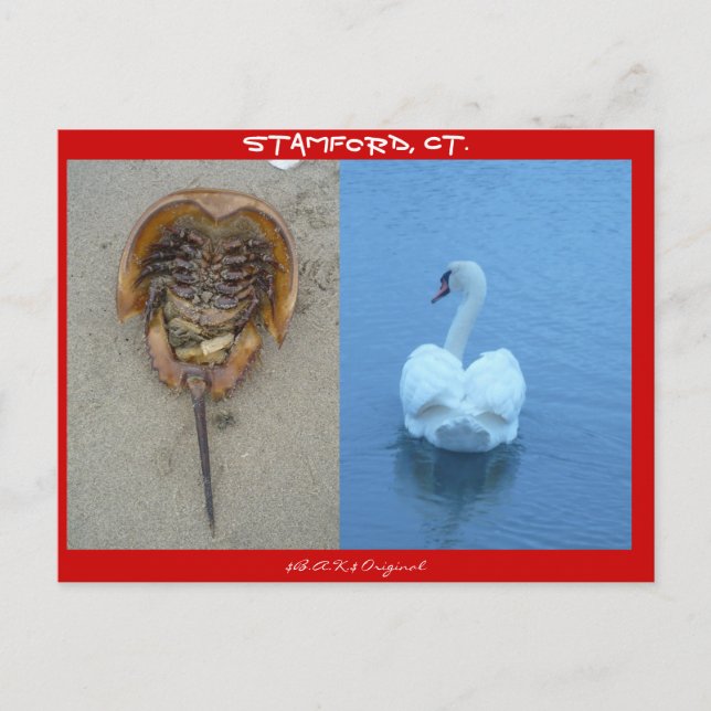 Postal Stamford, CT (Anverso)