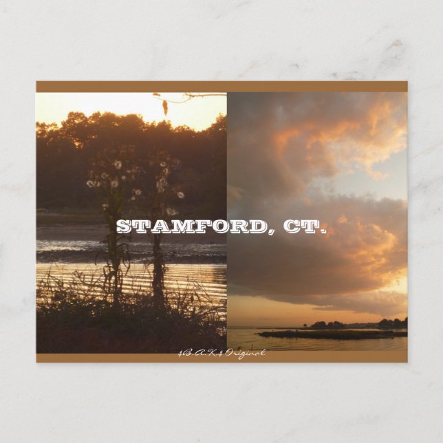 Postal Stamford, CT Fall 2009 (Anverso)
