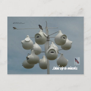 Postal Stamford Ct Postcard