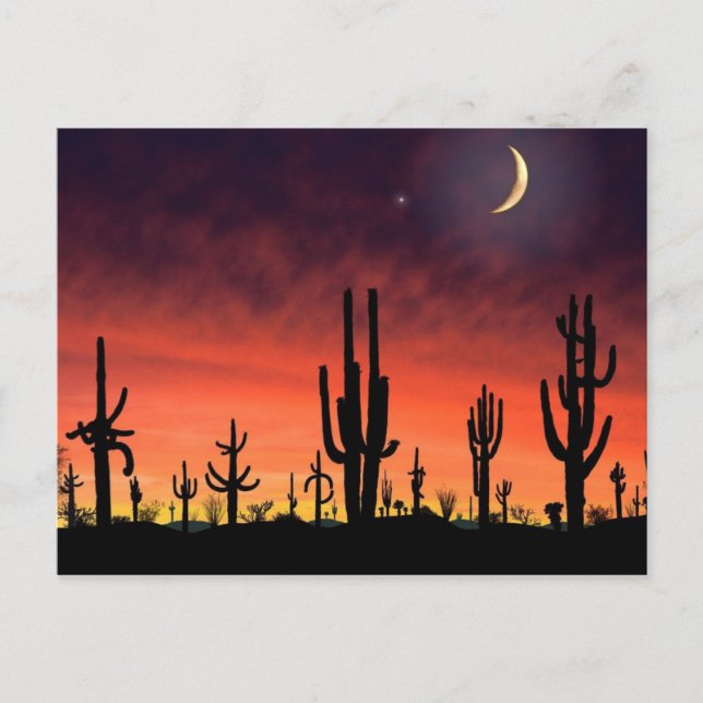 Postal Stand Tall_ (Anverso)