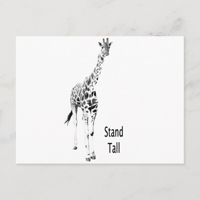 Postal Stand Tall (Anverso)