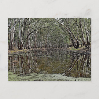 Postal Standard postcard